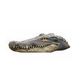 Remote Control Crocodile Head
